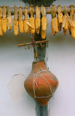 Corn and Cross-s.jpg