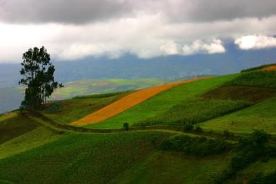 Ecuador Landb-s.jpg