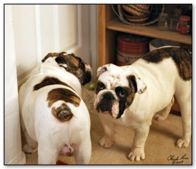 20. Z&Z Behind The Door