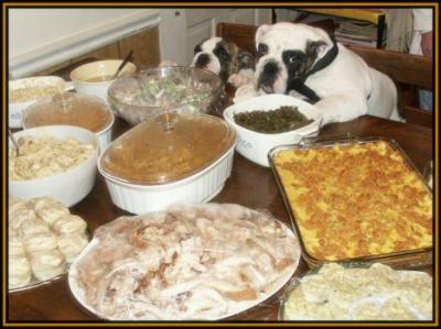 u45/bullfiddle/medium/29198403.121ZZThanksgiving.jpg