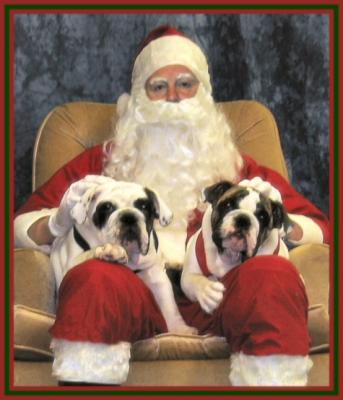 u45/bullfiddle/medium/29198427.122ZZMerryChristmas.jpg