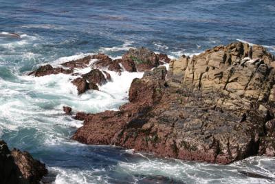 Cool-Water-Big-Sur-Opt.jpg