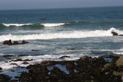 Pacific-Ocean-Opt.jpg