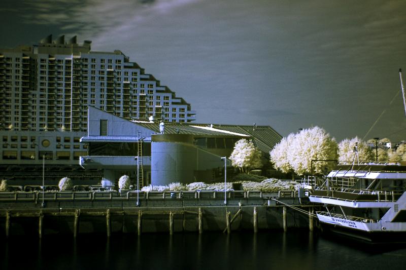 Jetty (Infra Red)