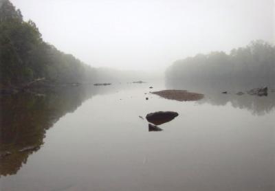 Foggy Morning On The Coosa River