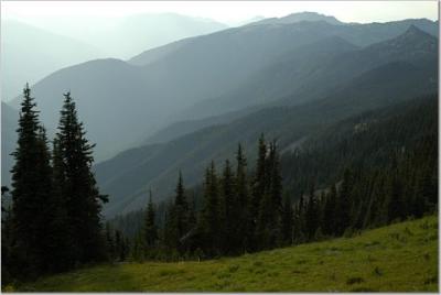 Olympic National Park 2