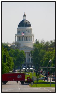 Capitol Zoom