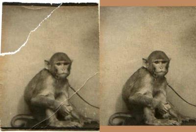 Pete Before and After