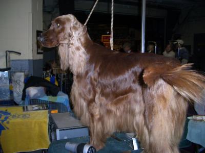 CIMG0887.JPG