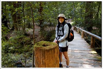 Big Basin Bridge