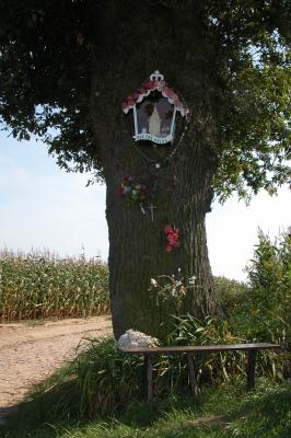 DSCN0643.JPG