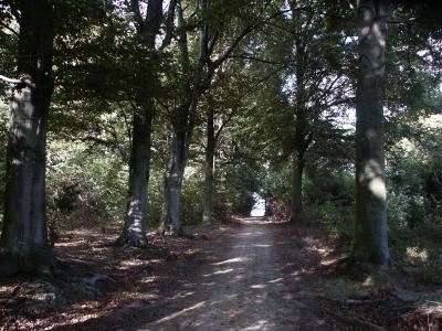 Dreef van Butsel naar Lubbeek