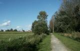 Dreef naast de Velpe in Butsel