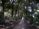 Dreef van Butsel naar Lubbeek