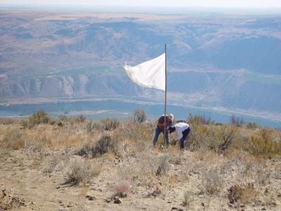 Murdoch and Suhas set the flag
