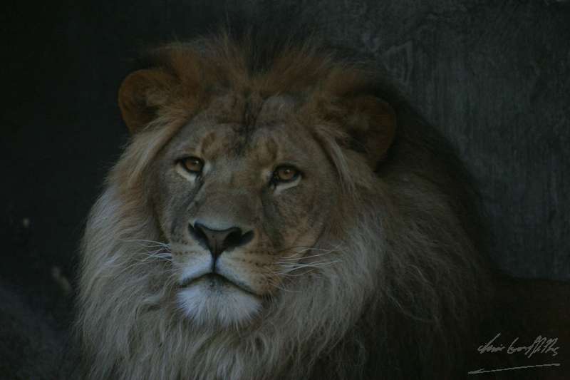 CRW_1982.jpg