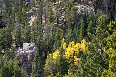 u45/chuckincolorado/medium/34627933.CRW_21665.jpg