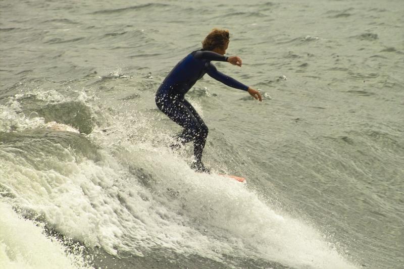 IMG10009.jpg