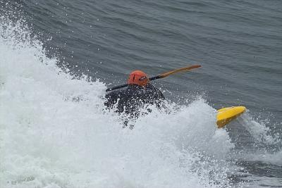 IMG09337.jpg