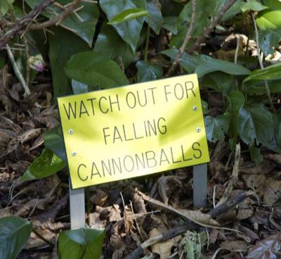 The Warning