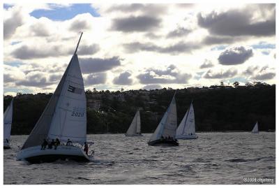 Sailing in Port Jackson