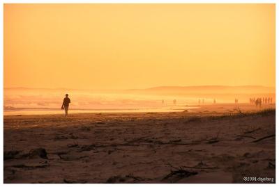 Walking along Stockton Beach