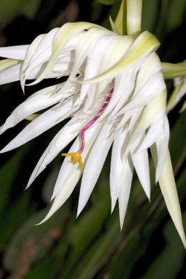 CRW_4102.jpg