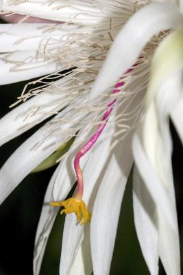 CRW_4103.jpg