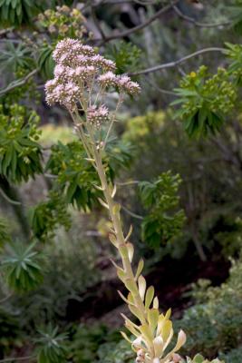 CRW_4104.jpg