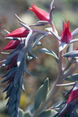 CRW_4119.jpg