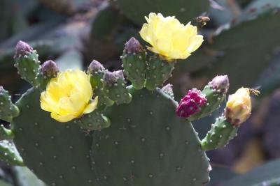 CRW_4137.jpg
