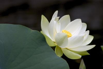 CRW_4144.jpg