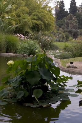 CRW_4146.jpg