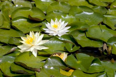 CRW_4168.jpg
