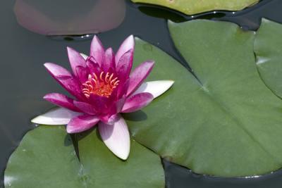 CRW_4170.jpg