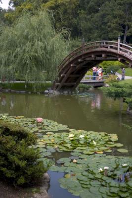 CRW_4175.jpg
