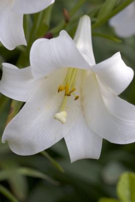 CRW_4197.jpg