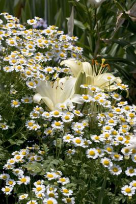 CRW_4230.jpg
