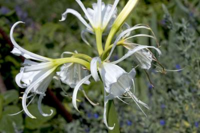CRW_4232.jpg