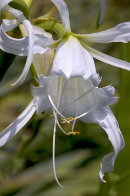 CRW_4233.jpg