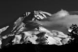 Shasta Morning in B&W