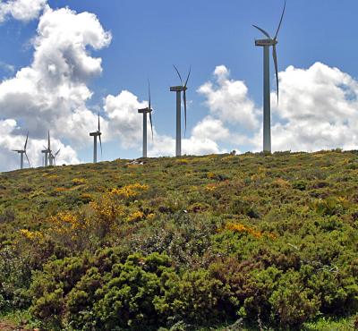 Windturbines, South Spain