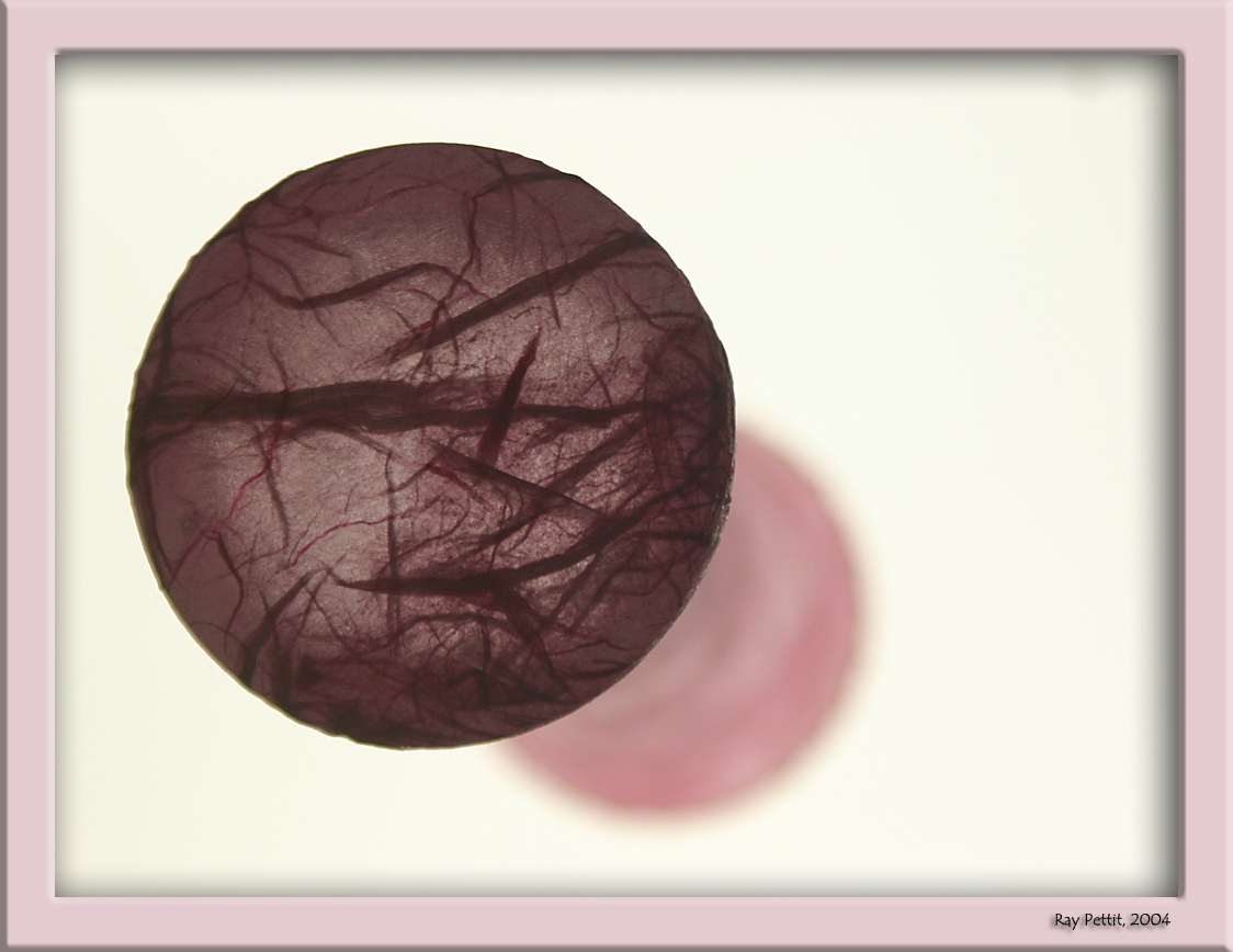 May 15 2004:<br> Circles