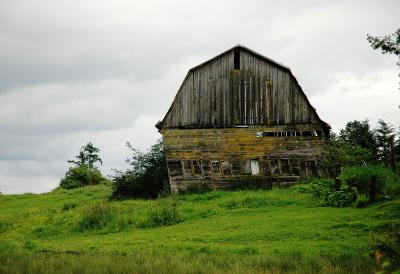 Old falling down barn