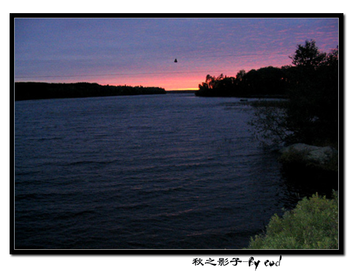 fall2004043.jpg