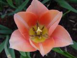 DSC03807.JPG