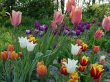 DSC05229.JPG