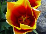 DSC05099.JPG