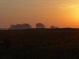 DSC01662.JPG