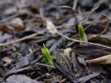 DSC03150.JPG